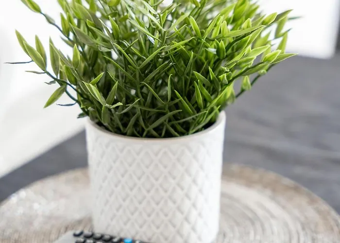 Bege Flatnest Lejlighed Mönchengladbach